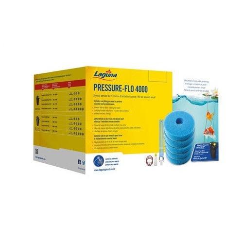 Pressure Flo Service Kit 4000 for PT1728 - 36 W, PT1698