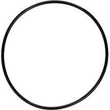 Bioforce 2000 Tank O-Ring